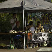 IMG_-16.jpg